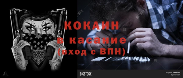 индика Белокуриха