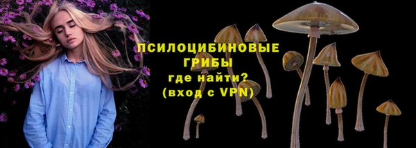 винт Баксан