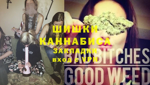 индика Белокуриха