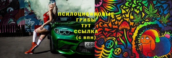 индика Белокуриха